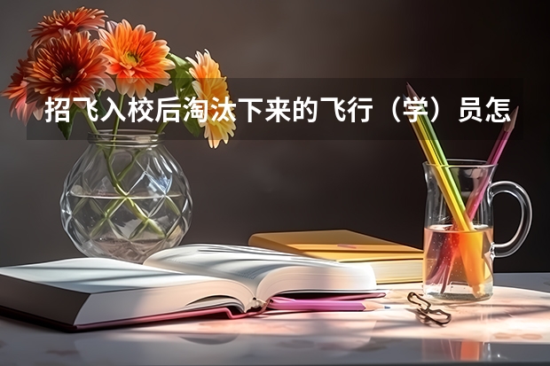 招飞入校后淘汰下来的飞行（学）员怎么安排？
