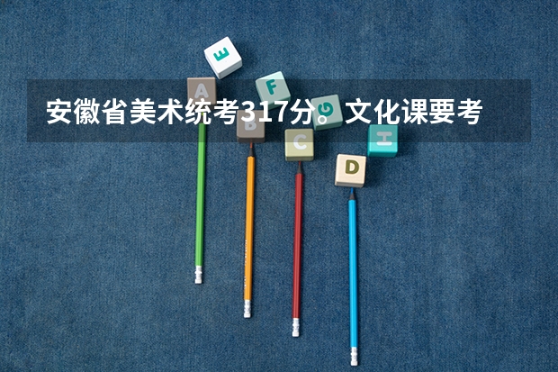 安徽省美术统考317分。文化课要考多少,大概能上一本？