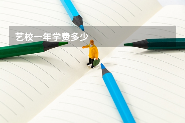 艺校一年学费多少