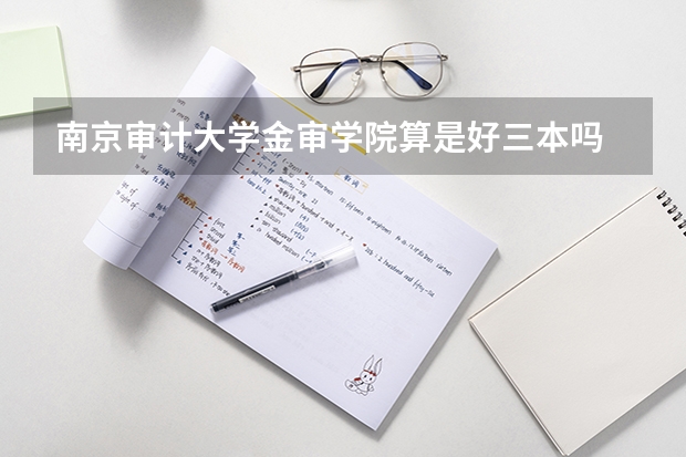 南京审计大学金审学院算是好三本吗