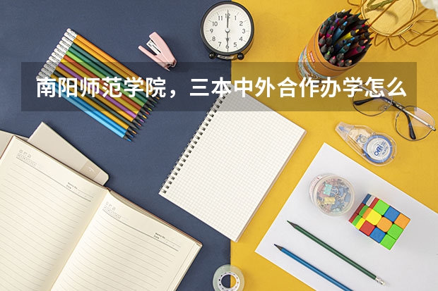 南阳师范学院，三本中外合作办学怎么样