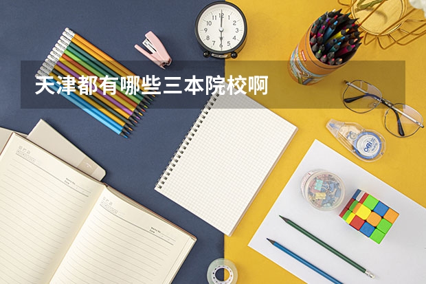 天津都有哪些三本院校啊
