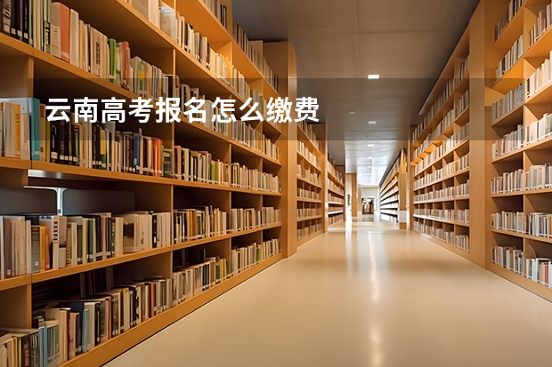 云南高考报名怎么缴费
