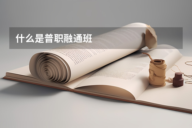 什么是普职融通班