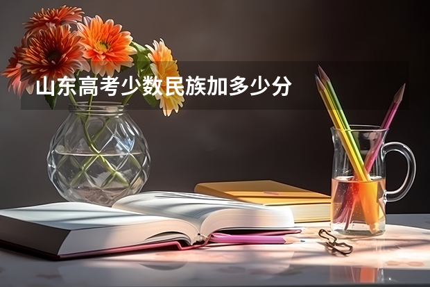 山东高考少数民族加多少分