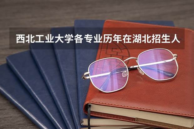 西北工业大学各专业历年在湖北招生人数是多少