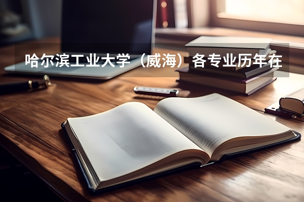 哈尔滨工业大学（威海）各专业历年在河北招生人数是多少