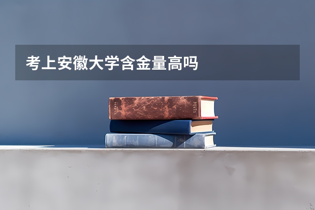 考上安徽大学含金量高吗