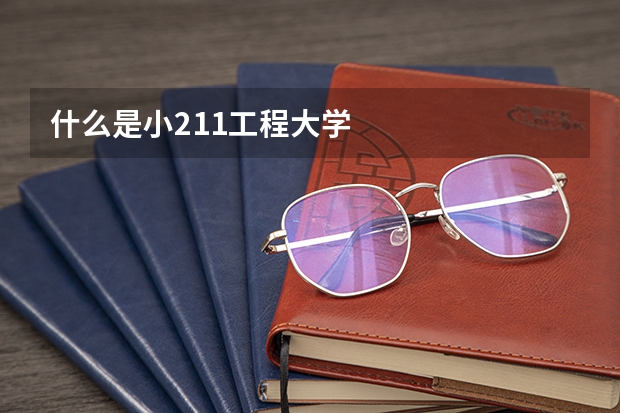 什么是小211工程大学