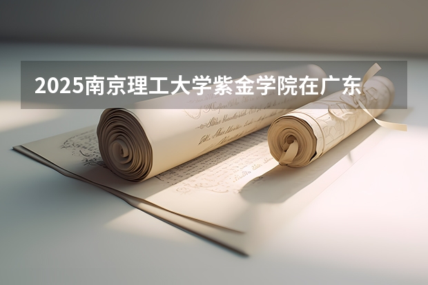 2025南京理工大学紫金学院在广东招生计划人数一览表