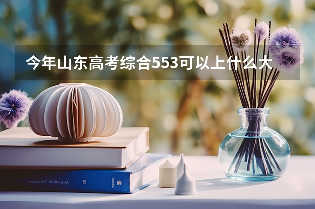 今年山东高考综合553可以上什么大学