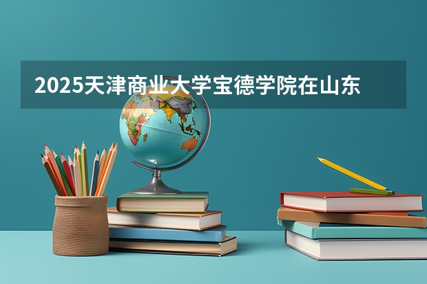 2025天津商业大学宝德学院在山东招生计划人数一览表