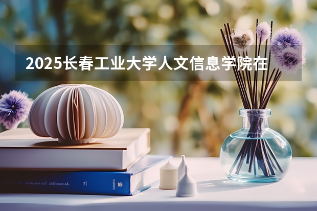 2025长春工业大学人文信息学院在山东招生计划人数一览表