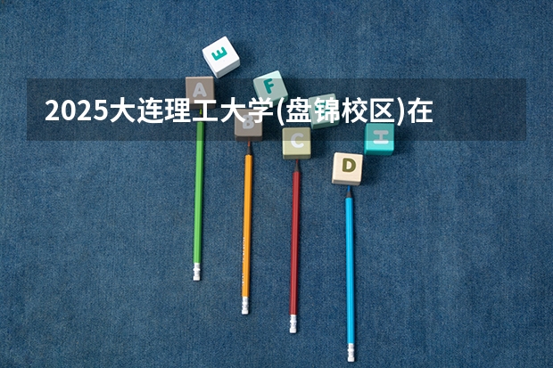 2025大连理工大学(盘锦校区)在山东招生计划人数一览表
