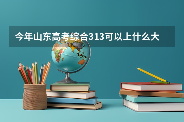 今年山东高考综合313可以上什么大学