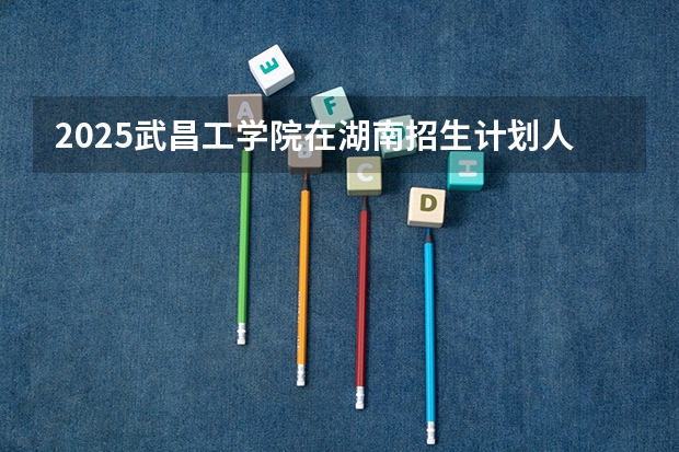 2025武昌工学院在湖南招生计划人数一览表