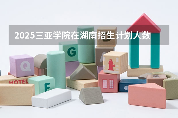 2025三亚学院在湖南招生计划人数一览表