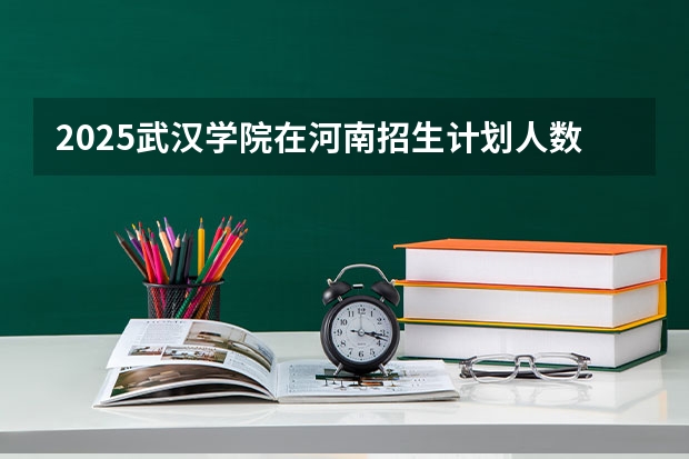 2025武汉学院在河南招生计划人数一览表