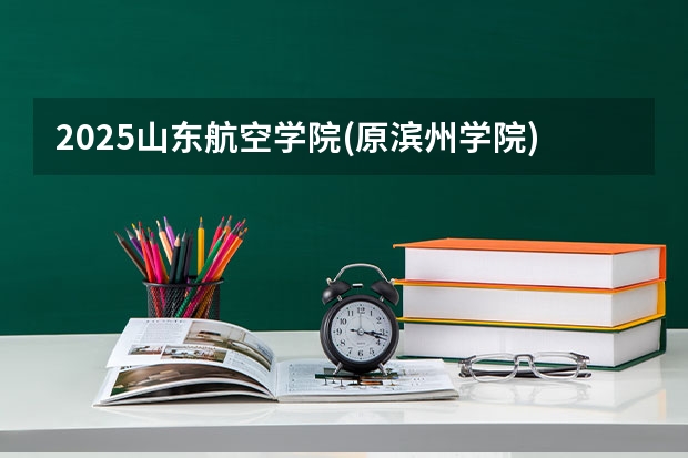 2025山东航空学院(原滨州学院)在江西招生计划人数一览表