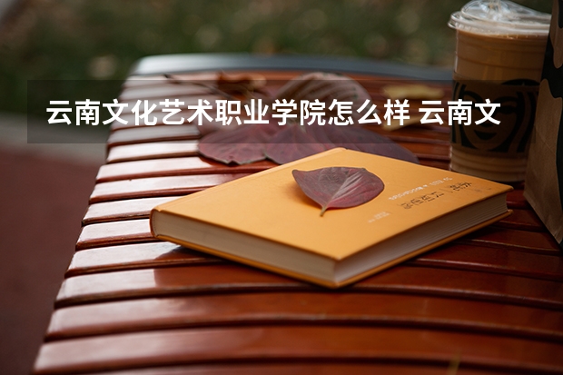 云南文化艺术职业学院怎么样 云南文化艺术职业学院专业和录取分数线介绍