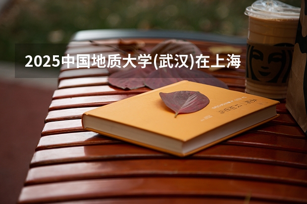 2025中国地质大学(武汉)在上海招生计划人数一览表