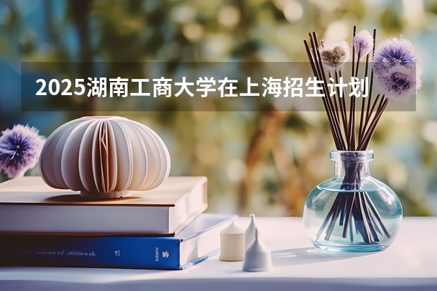 2025湖南工商大学在上海招生计划人数一览表