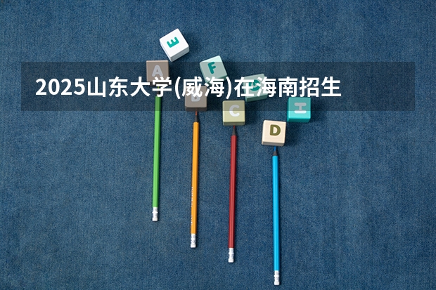 2025山东大学(威海)在海南招生计划一览表
