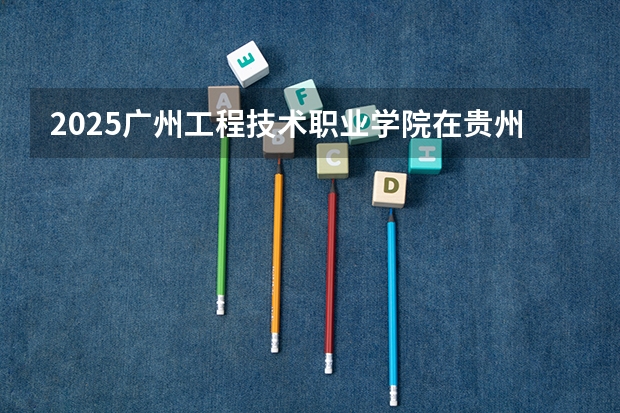 2025广州工程技术职业学院在贵州招生计划一览表