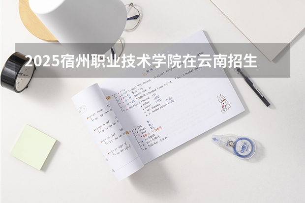 2025宿州职业技术学院在云南招生计划一览表