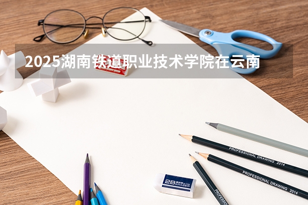 2025湖南铁道职业技术学院在云南招生计划一览表