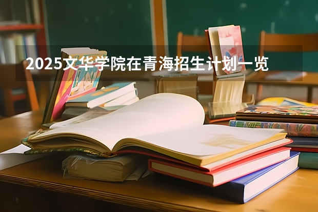 2025文华学院在青海招生计划一览表