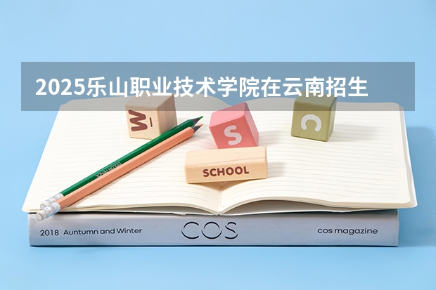 2025乐山职业技术学院在云南招生计划一览表