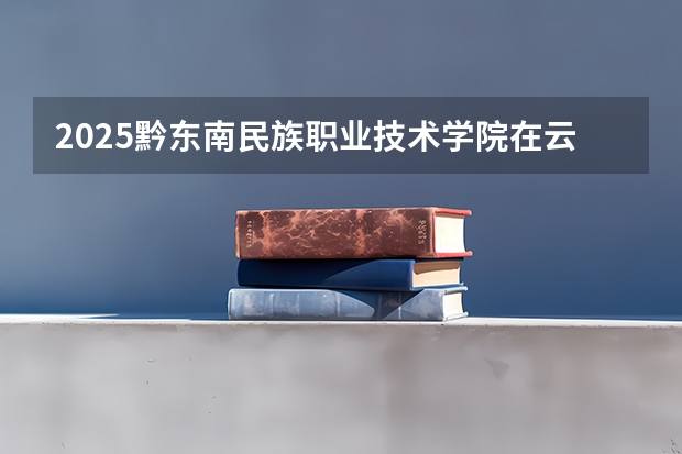 2025黔东南民族职业技术学院在云南招生计划一览表