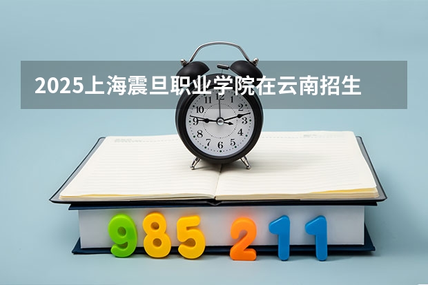 2025上海震旦职业学院在云南招生计划一览表