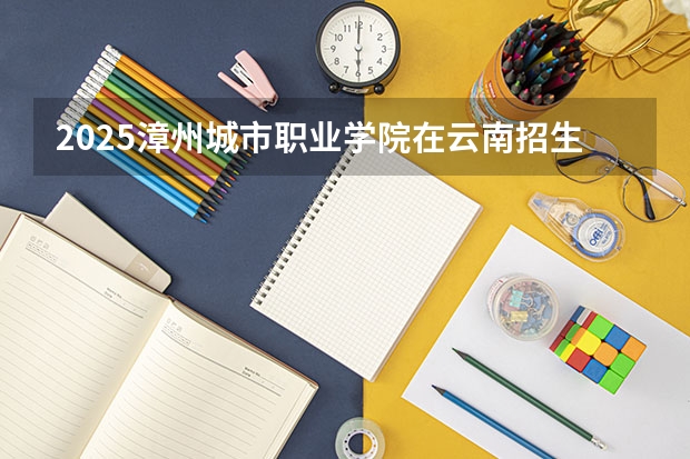 2025漳州城市职业学院在云南招生计划一览表