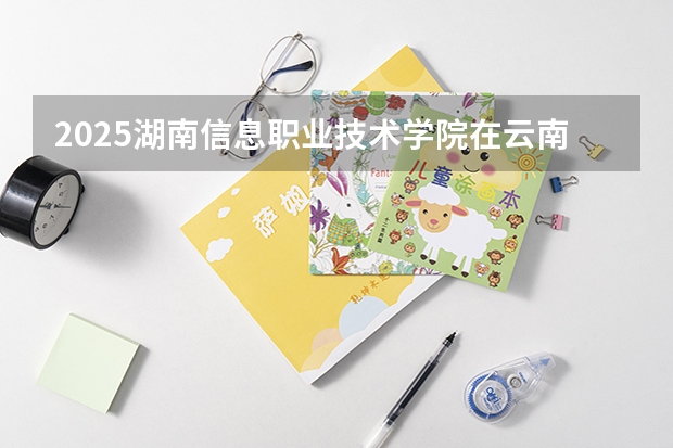 2025湖南信息职业技术学院在云南招生计划一览表