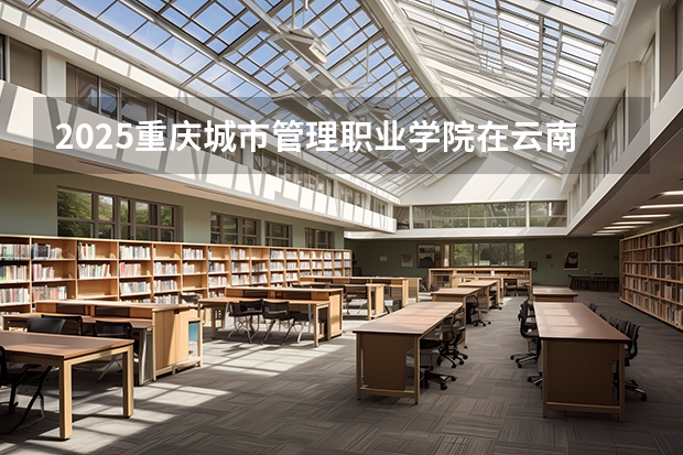 2025重庆城市管理职业学院在云南招生计划一览表