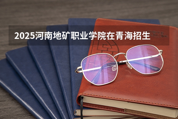 2025河南地矿职业学院在青海招生计划一览表