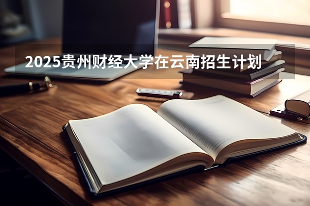 2025贵州财经大学在云南招生计划一览表