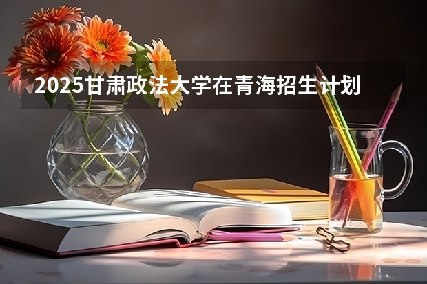 2025甘肃政法大学在青海招生计划一览表