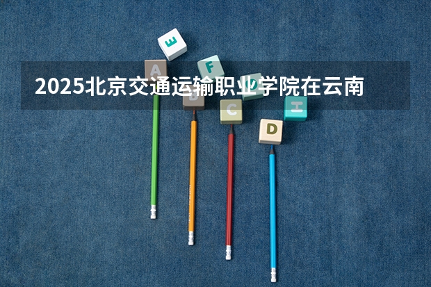 2025北京交通运输职业学院在云南招生计划一览表