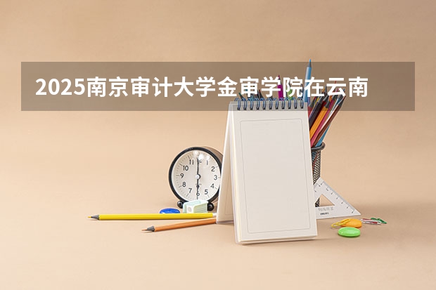 2025南京审计大学金审学院在云南招生计划一览表