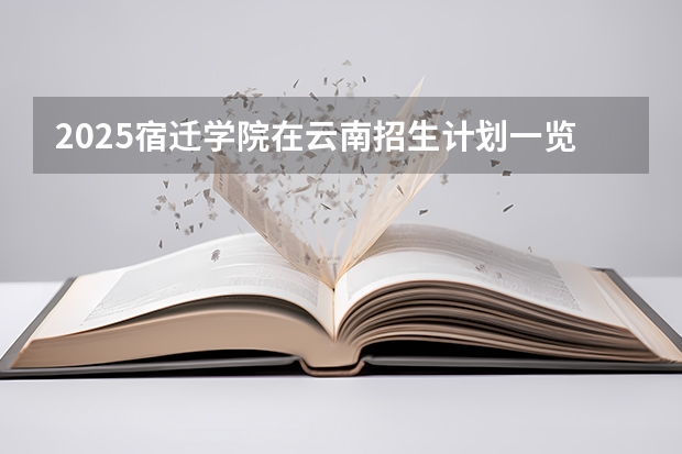 2025宿迁学院在云南招生计划一览表