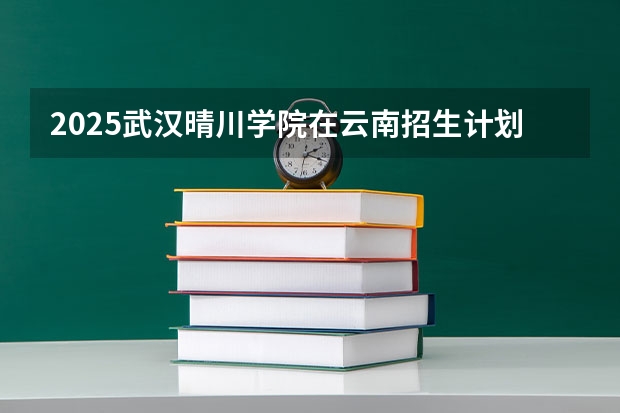 2025武汉晴川学院在云南招生计划一览表