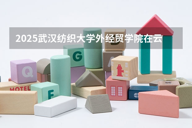 2025武汉纺织大学外经贸学院在云南招生计划一览表