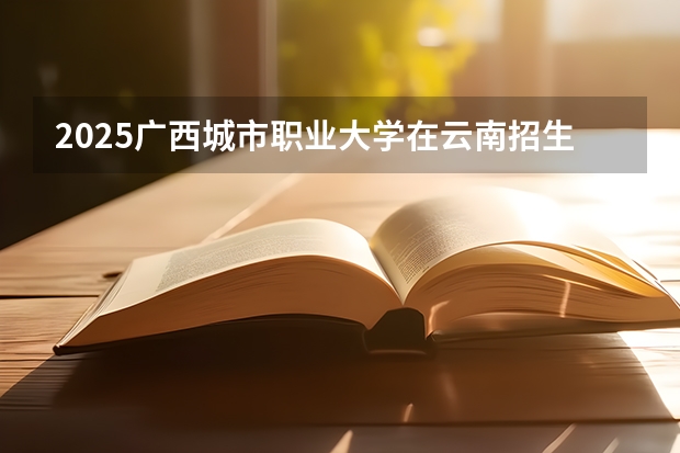 2025广西城市职业大学在云南招生计划一览表