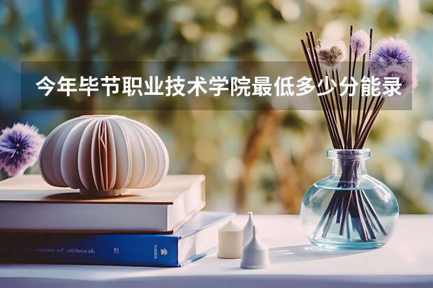 今年毕节职业技术学院最低多少分能录取 贵州历年录取分数线