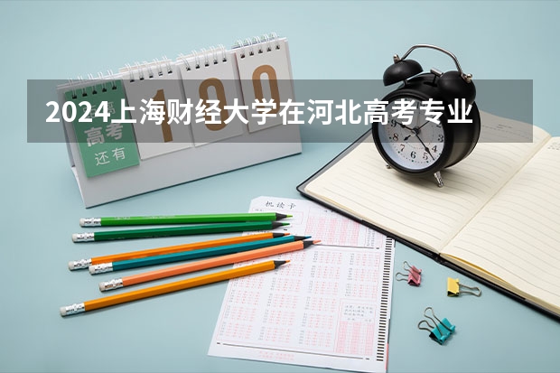 2024上海财经大学在河北高考专业招生计划人数预测