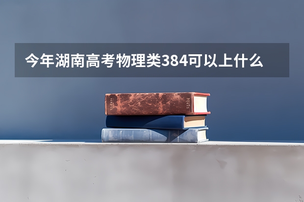 今年湖南高考物理类384可以上什么大学
