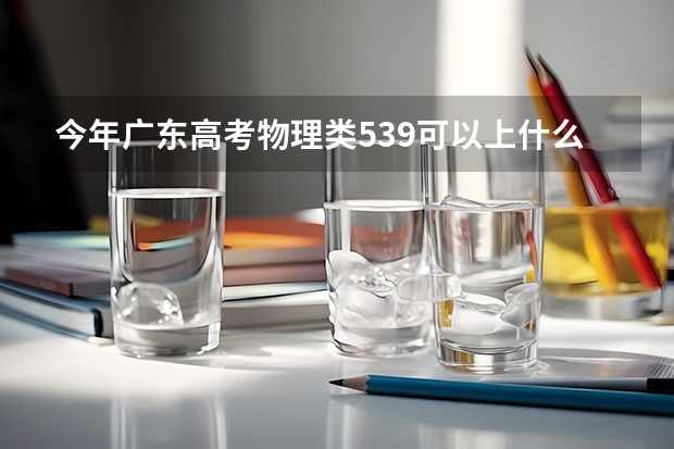 今年广东高考物理类539可以上什么大学